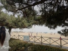 -第34届青岛国际啤酒节