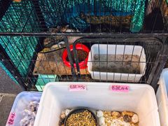 -溪岸路花鸟市场