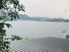-望湖烤鱼