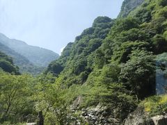 -陕西省红河谷森林公园
