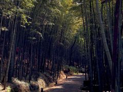 -苏州环秀晓筑养生度假村