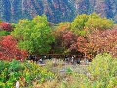 -秦岭终南山世界地质公园翠华山景区