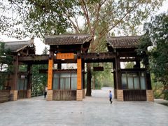 -溱湖国家湿地公园