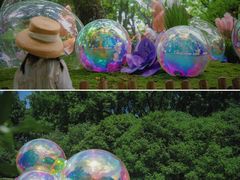 -上海共青森林公园