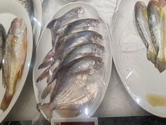 -中国舟山国际水产城