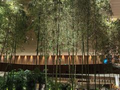 -北京望京凯悦酒店The Lounge大堂酒廊
