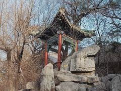 -文瀛公园