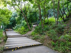 -帽儿山国家森林公园