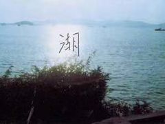 -湖南东洞庭湖国家级自然保护区