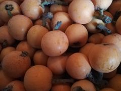 -枇杷沟农家乐·柴火鸡