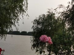 -漕湖湿地公园