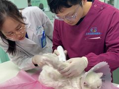 -北京观赏动物医院·24小时大型综合·猫专科·异宠专科