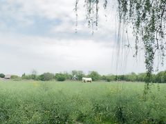 -长兴太湖图影湿地文化园