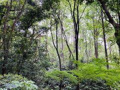 -杭州半山国家森林公园