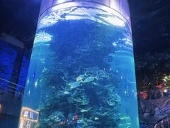 -蓬莱欧乐堡海洋极地世界