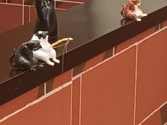 -猪角·闽南猪脚饭(上海星荟中心店)