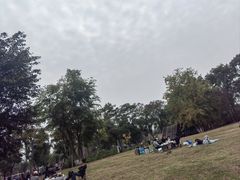 -白鹭湾湿地公园