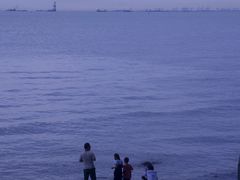 -宝安西湾红树林湿地公园