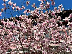 -华声天桥民俗文化园