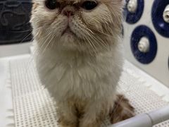 -美迦爱-牙专科·兔科·骨科诊疗中心(北苑店)