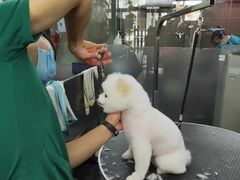-美联众合动物医院(唯恩分院)
