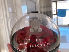 -ROSEONLY诺誓(磐基中心店)