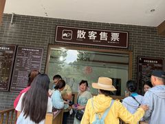 -王莽岭风景区