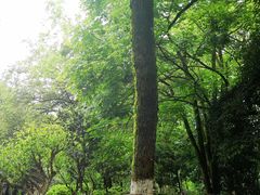 -桂林灵渠景区