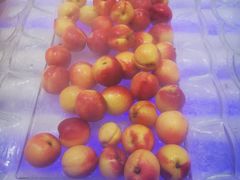 -韩盛·盛江山自助料理(于洪新玛特店)