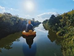 -黄海国家森林公园