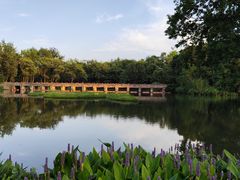 -西溪国家湿地公园