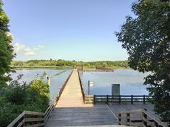 -溱湖国家湿地公园