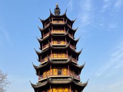 -红梅公园
