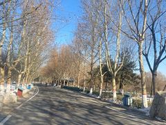 -石家庄市动物园