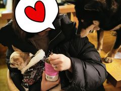 -萌喵咖啡屋(人民东路4号口M16商铺店)