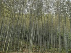 -黄公望隐居地