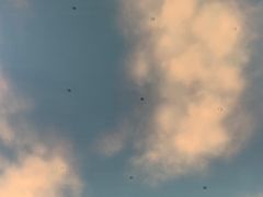 -澳门威尼斯人综合度假区