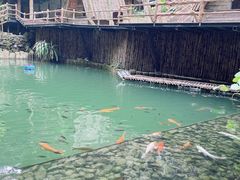 -海南槟榔谷黎苗文化旅游区