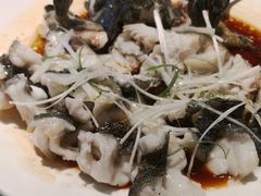 石斑鱼-衡山汇·高级粤菜(霄云路店)