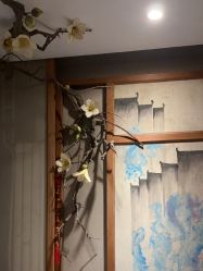 -至爱至信新中式SPA疗愈会所