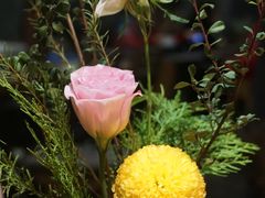 -扫雪煮茶(西村店)