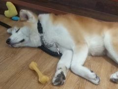 -YCHL Studios健身工作室(市二宫店)