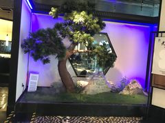 -绿茶餐厅(成都大悦城店)