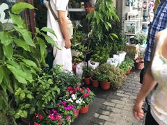 -万商花鸟市场