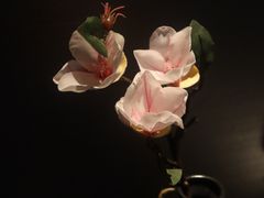 -和一料理(安阳店)