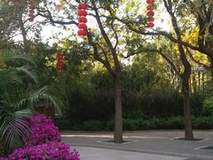 -团结湖公园