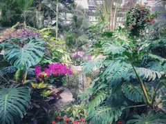 -郑州植物园