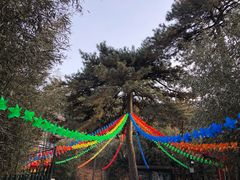 -红螺寺