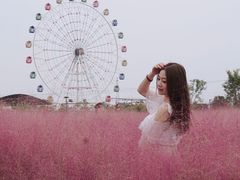 -金卉庄园