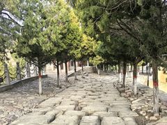 -韩城古城美食街